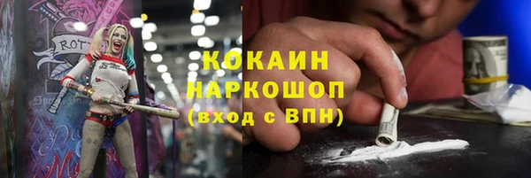 сатива Аркадак
