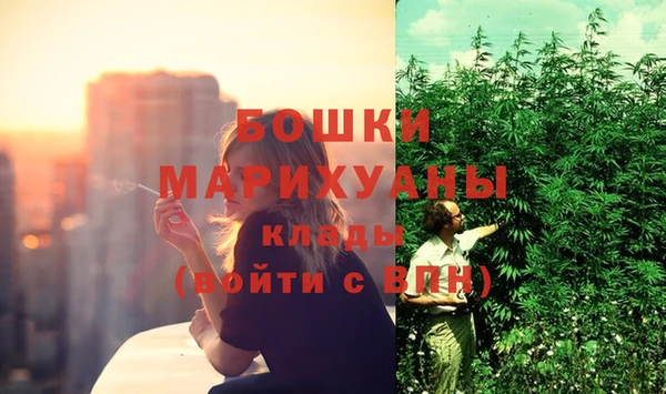 сатива Аркадак
