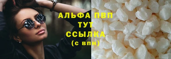 сатива Аркадак