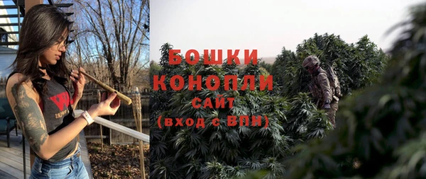 сатива Аркадак