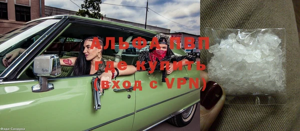сатива Аркадак