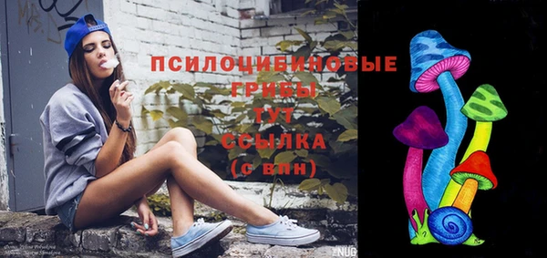 ПСИЛОЦИБИНОВЫЕ ГРИБЫ Армянск