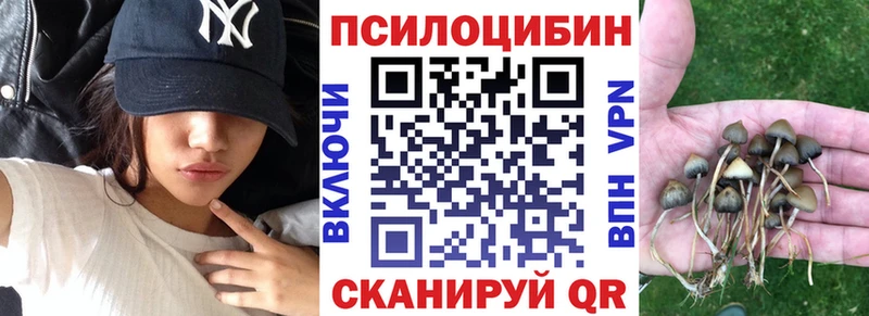 Псилоцибиновые грибы мухоморы kraken онион Рубцовск
